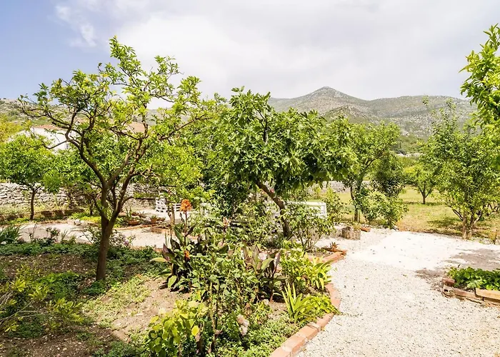Apartment Davor