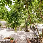 Davor סלאנו