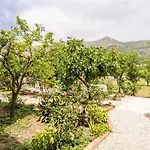 דירה Davor