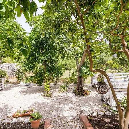 Apartments Davor Slano