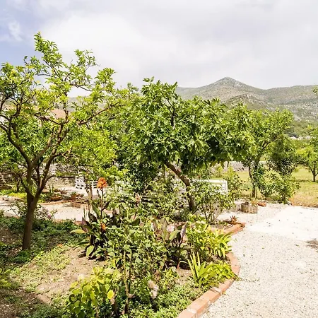 Apartmán Davor