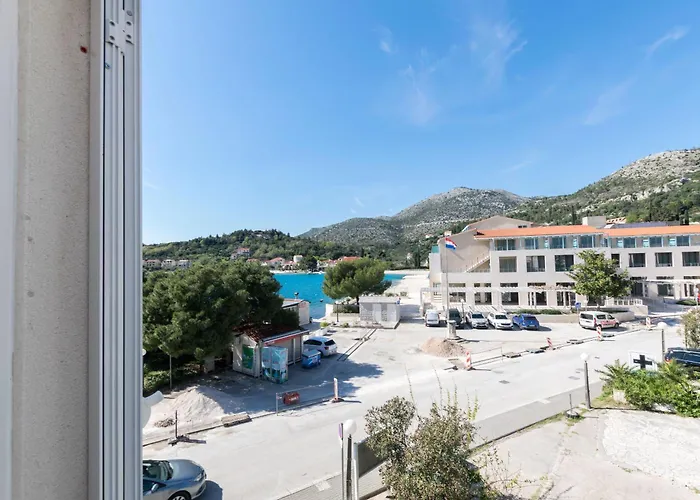 公寓 Davor 斯拉诺